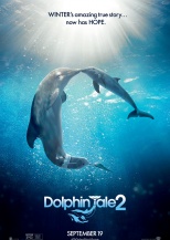海豚的故事2